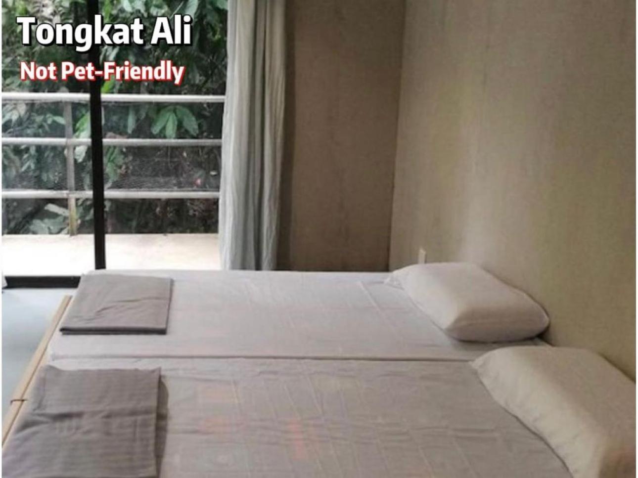 Gibbon Retreat Bentong Hotel Екстериор снимка