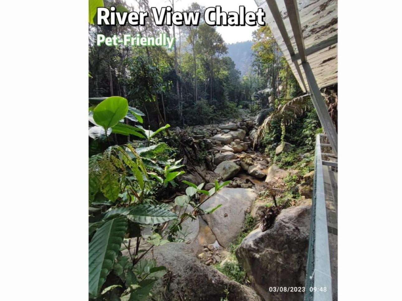 Gibbon Retreat Bentong Hotel Екстериор снимка