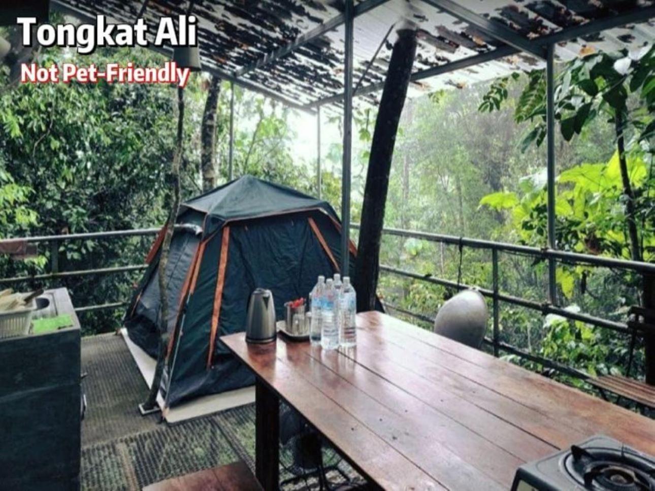 Gibbon Retreat Bentong Hotel Екстериор снимка
