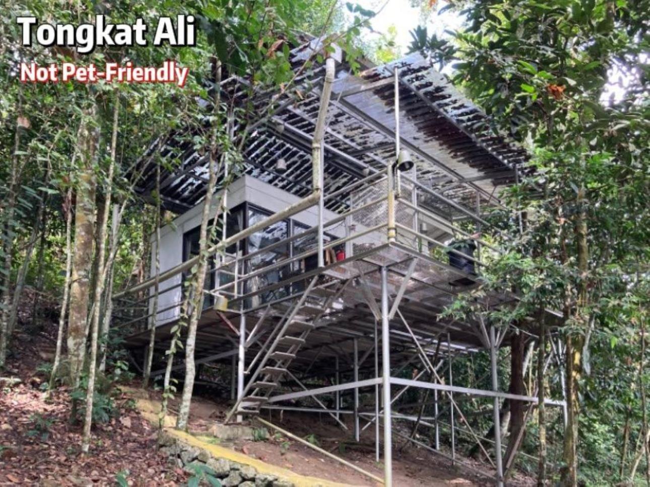 Gibbon Retreat Bentong Hotel Екстериор снимка