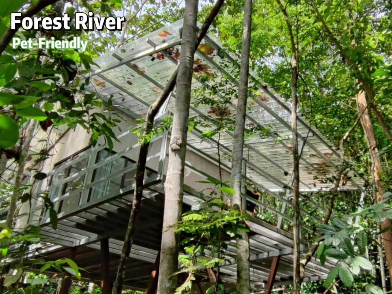 Gibbon Retreat Bentong Hotel Екстериор снимка